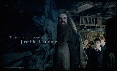 Rubeus Hagrids ir viens no... Autors: meowh harry potter.  woop