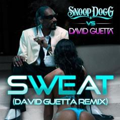 Snoop Dogg amp David Guetta ... Autors: Evvee Dziesmu nosaukumi LV 2