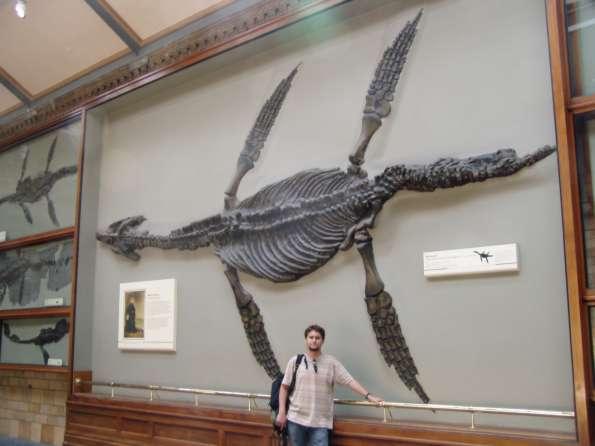 Jūras briesmonis Pliozaurs... Autors: ML Neticami, bet fakts - 4