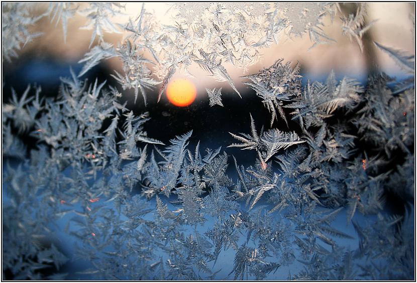 Kādā jaukā ziemas rītā uz mana... Autors: fotostudente Mirklis iedvesmas 2