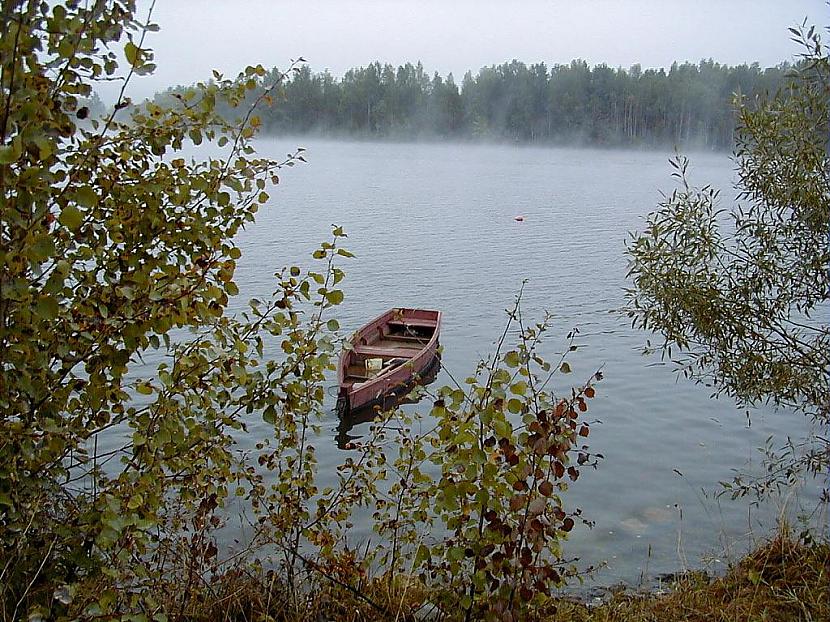 DAugava pie Kokneses Autors: Njikaa Latvijas daba. :)