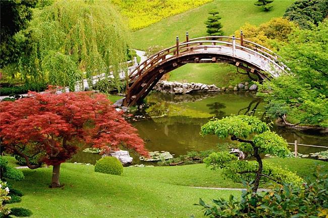Huntington Botanical Gardens... Autors: kikka4 10 skaistākie pasaules botāniskie dārzi