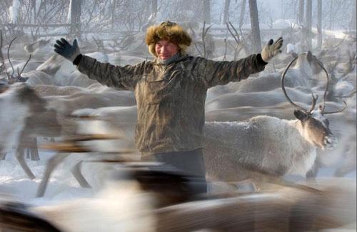 Krievija Evenkiskais gans... Autors: Jaromejs Nature"s Best Photography versijas labākās 2008.gada dabas