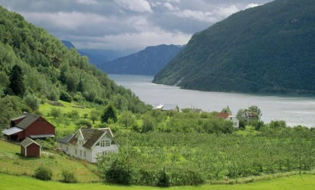  Autors: rabbitlanguage Norvēģijas dabas skati