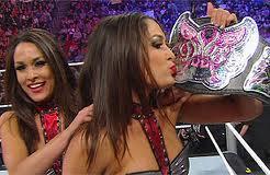 Divas Champion Brie Bella... Autors: GreatLauris Tagadējie WWE čempioni