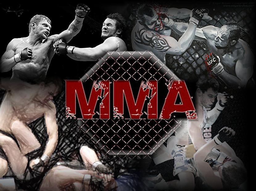 MMA Autors: A N I M A L mma**Motivation video**