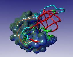bioķīmija  pēta ķīmisko... Autors: SuperPankūciņš Cilvēka ķermeņa zinātnes