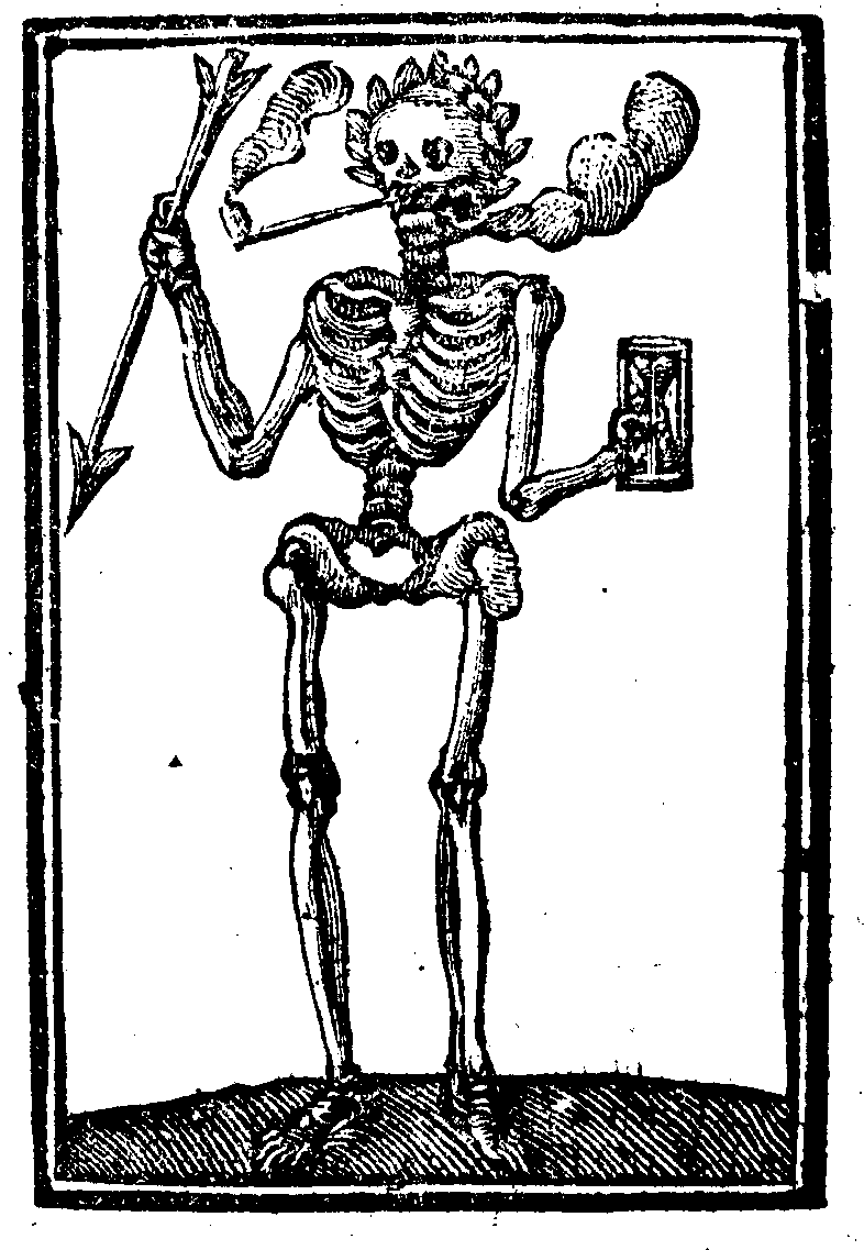 Skelets sastāv galvenokārt no... Autors: Kāposts Skelets+ fakti skeletu cienītājiem