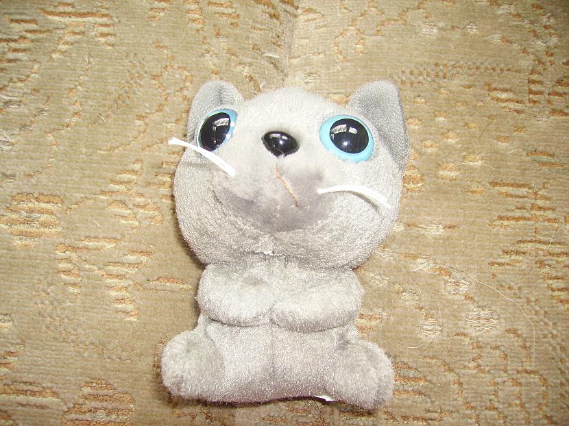 Mazais krievu zilais kaķis... Autors: hamsterss Mana kolekcija