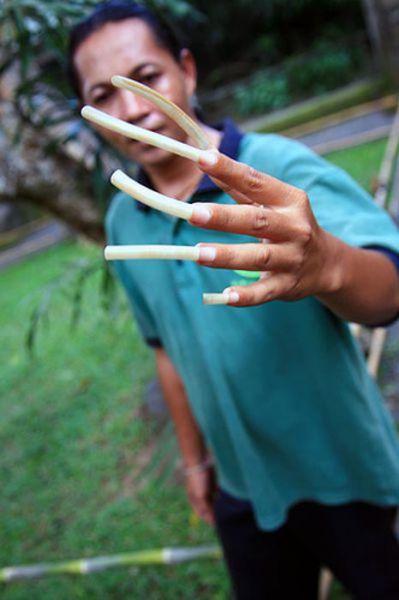 Autors: Tomatiish Cilvēki ar gariem nagiem!