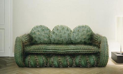 Kaktusa dīvānsIdeja1861 United Autors: flabberlang Interesanta dizaina mēbeles!