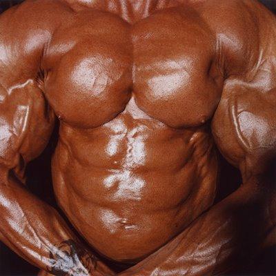  Autors: martinsmarcelo Bodybuilding