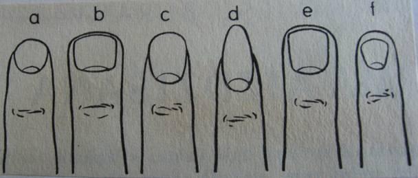 Nagu forma A  īsi nagi ... Autors: charming brunette Ko stāsta roku pirksti?