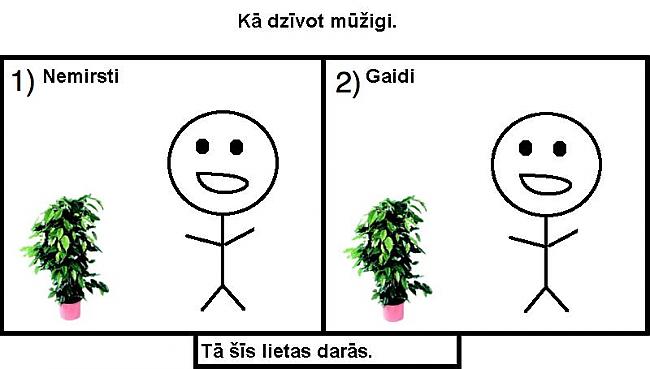  Autors: Spodzis Kā šīs lietas darās :D