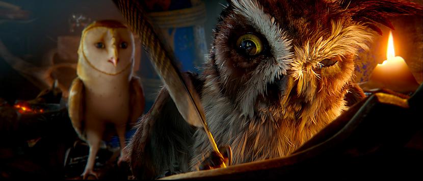  Vēl varētu minēt daudz detaļu... Autors: este1 Legend of the Guardians: The Owls of Ga'Hoole