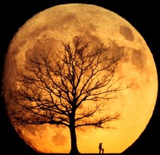 Mēness attālinās no ZemesKatru... Autors: fischer 10 interesanti fakti par kosmosu un ap to.