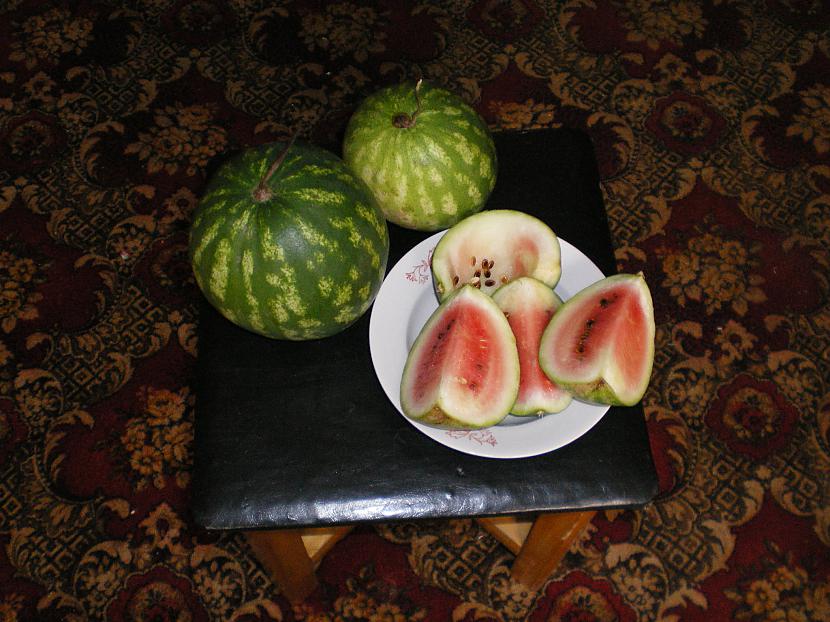 te ir divi jo parejie pilsetas... Autors: The Frozen Latvijā audzēts arbūzs...