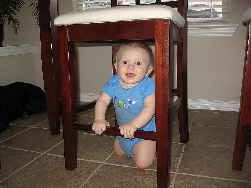 Under baby. Ребенок спрятался под стол. Boy under the Chair. Ball under the Chair. Monkey sit in the Chair.