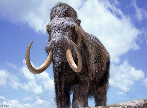 Par mamutu nāvi pastāv 2... Autors: Edgarinshs Īsumā par interesantāko