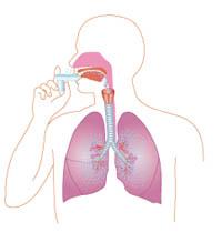 Cilvēka labajā plaušā ietilpst... Autors: Cukurgailītis Interesanti fakti par CILVĒKU! [1]