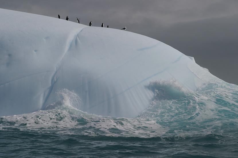  Autors: Labveelis13 Antarktīda