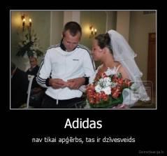  Autors: coopy Adidas is all in.....