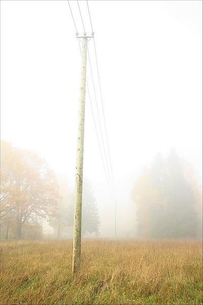  Autors: Rakoons Rīta migla (Es fotogrāfēju 3)