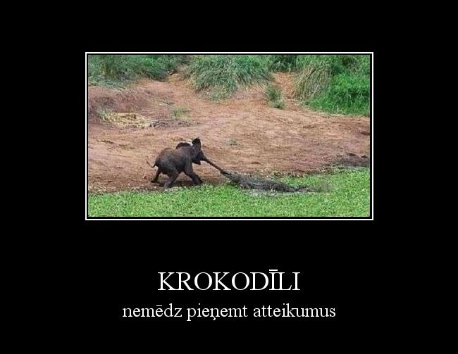  Autors: wiesulis krokodīli