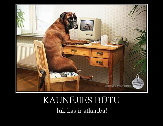  Autors: brača kaunējies būtu