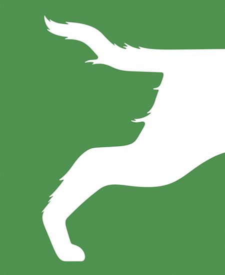  Autors: DarkCat Un ko TU saskati?