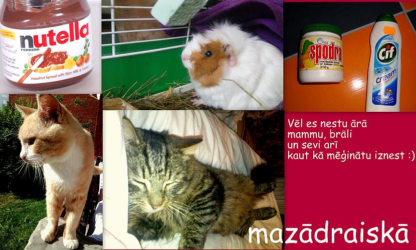 māzadraiskā Autors: ORGAZMO ko spoki iznestu no degošas mājas?