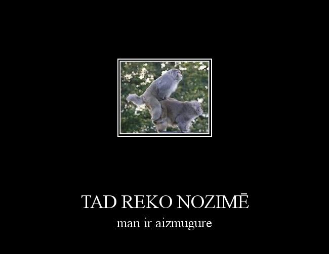  Autors: wiesulis Tad reko nozimē