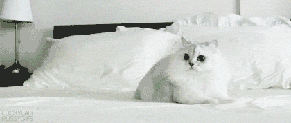  Autors: ADORABLE Dzivnieku gifi. (: