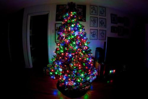  Autors: dirteechocolate just can't wait for christmas