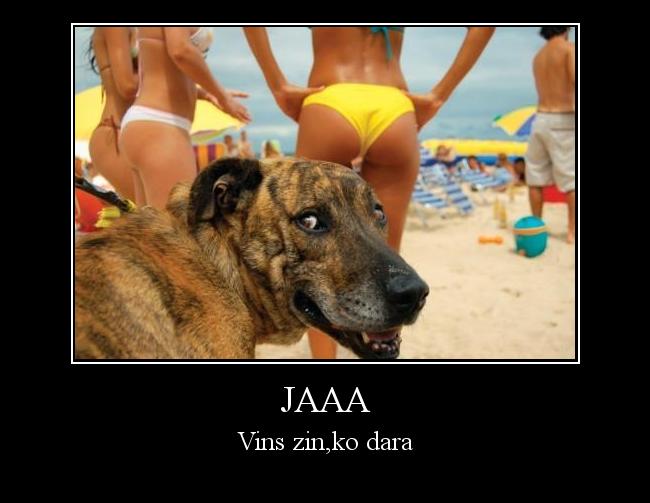  Autors: DAIKC Jaaa