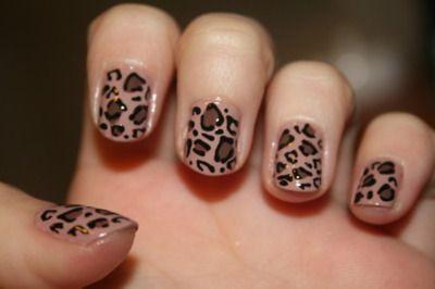  Autors: betinjaa19 Tur kur leopards. ;]