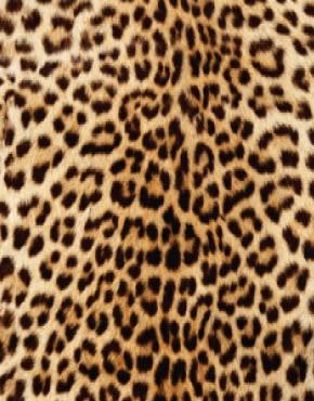  Autors: betinjaa19 Tur kur leopards. ;]