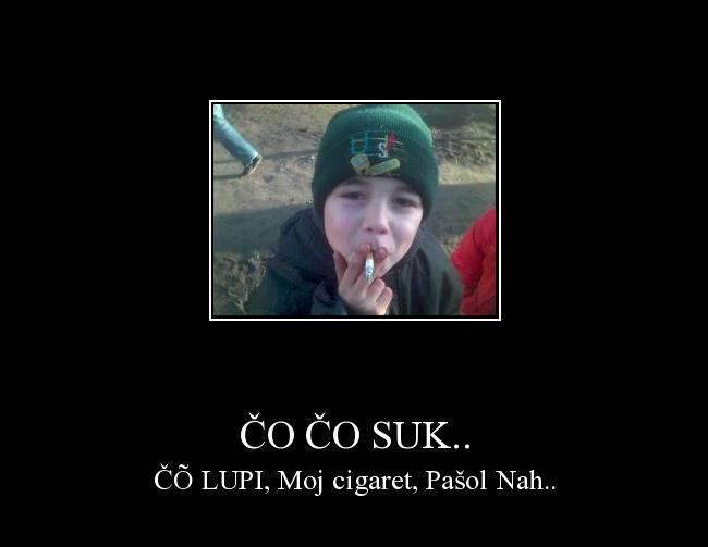  Autors: Sandisx3x čo čo suk..