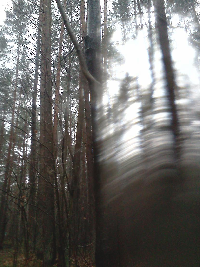 savādi kā bēgot mežā... Autors: Xinjsh Pastaiga