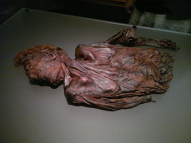 The Clonycavan Man tajā... Autors: Fosilija Senie purvu ķermeņi