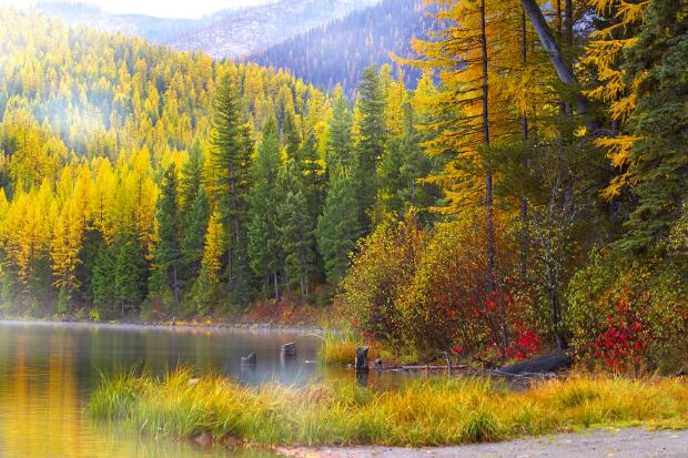 Lake with fog and Golden... Autors: wodka Dabas skati VOL 2