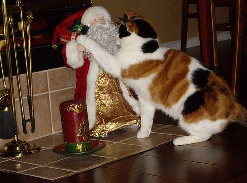  Autors: Fosilija Smieklīgi Ziemassvētku kaķi .