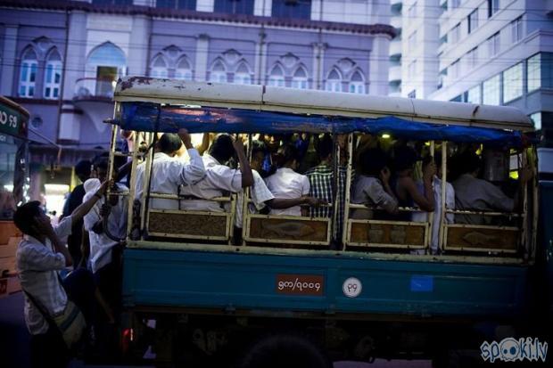 Burmese pile in to a Autors: Ivarocks Draugiem.lv runā !!