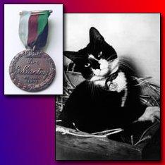 5 Otrajā pasaules karā... Autors: crazyfly Dažādi fakti par kaķiem