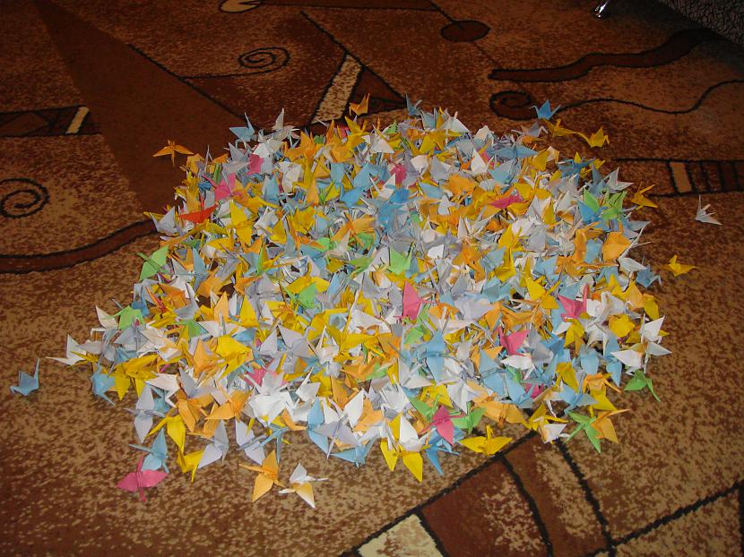 Beidzot pabeidzu Ļoti liela... Autors: Nobuko 1000 origami dzērvītes.(hand made)