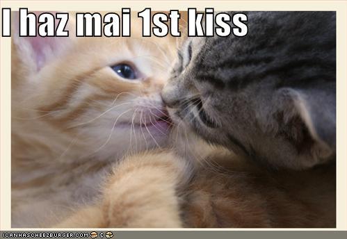  Autors: Bbccnov Kissezzz