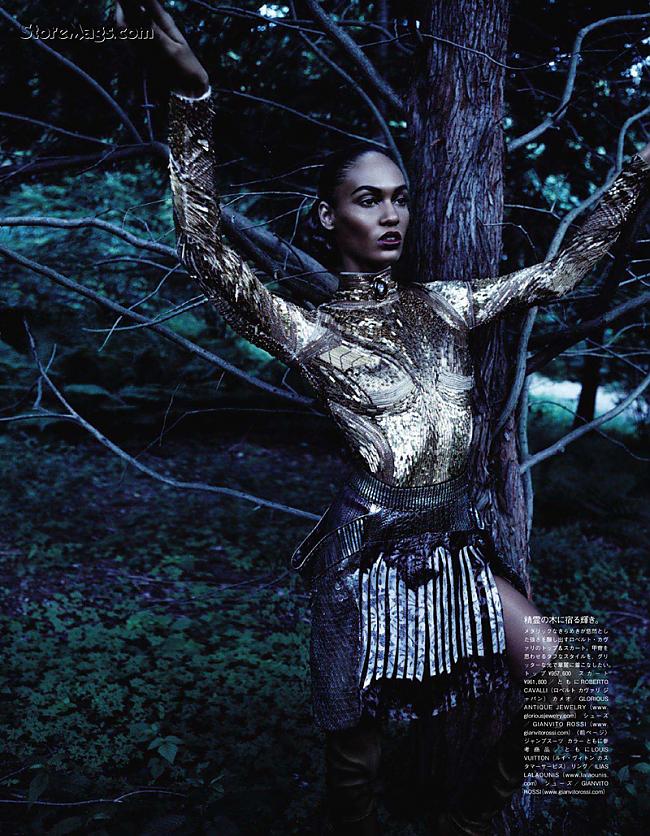 Joan Smalls Autors: EivahH 2011 Top Women