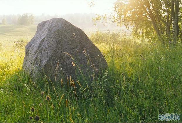  Autors: Fosilija Anekdote