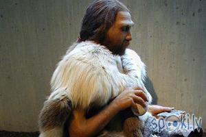  Autors: Sheep Kas notika ar neandertaliešiem???
