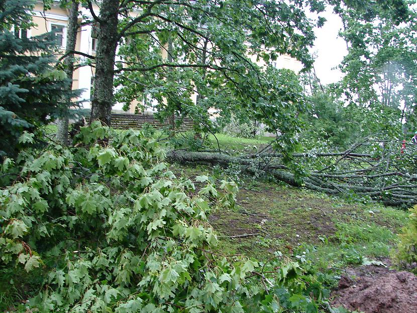  Autors: PankyBoy 2008.gada  vētras sekas